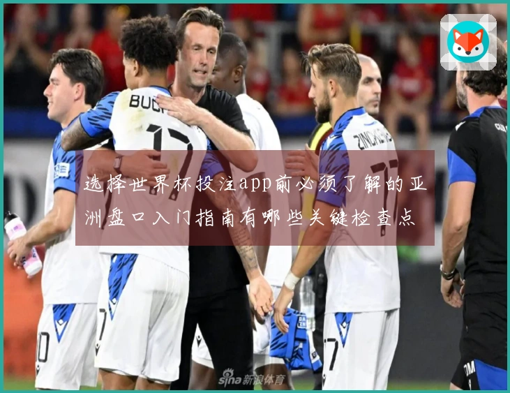 选择世界杯投注app前必须了解的亚洲盘口入门指南有哪些关键检查点