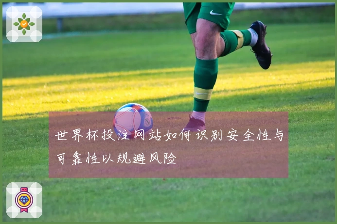 世界杯投注网站如何识别安全性与可靠性以规避风险