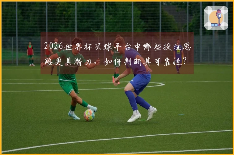 2026世界杯买球平台中哪些投注思路更具潜力，如何判断其可靠性？