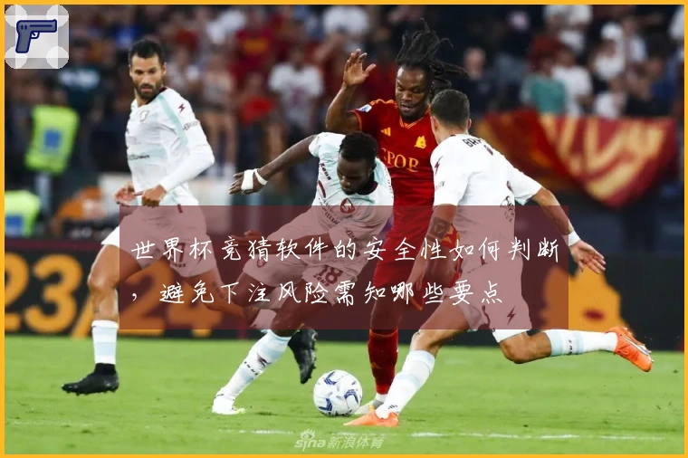世界杯竞猜软件的安全性如何判断，避免下注风险需知哪些要点