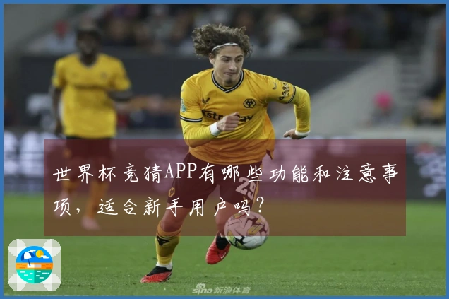 世界杯竞猜APP有哪些功能和注意事项，适合新手用户吗？