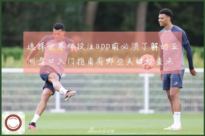 选择世界杯投注app前必须了解的亚洲盘口入门指南有哪些关键检查点